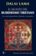 MUNDO DEL BUDDHISMO TIBETANO -SP