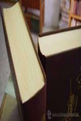 La Pimpinela Escarlata