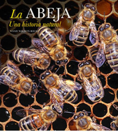La abeja. Una historia natural