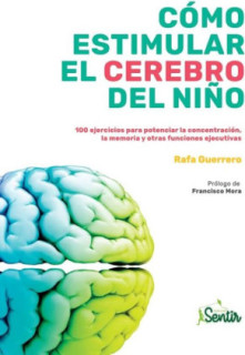 Cómo estimular el cerebro del niño