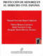 PROTECCIÓN DE MENORES EN EL DERECHO CIVIL ESPAÑOL/CHILD PROTECTION IN SPANISH CIVIL LAW