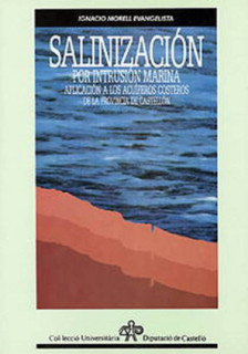 Salinización por intrusión marina : aspectos teóricos y metodológicos : aplicación a los acuíferos costeros de la provincia de Castellón