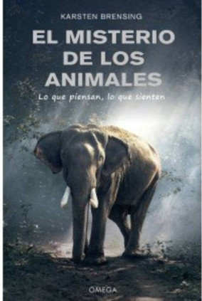 EL MISTERIO DE LOS ANIMALES