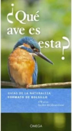 ¿QUÉ AVE ES ESTA?