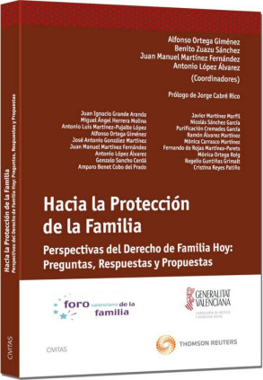 Hacia la protección de la familia - Perspectivas del Derecho de familia hoy: preguntas, respuestas y propuestas