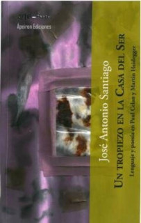 Un tropiezo en la Casa del Ser