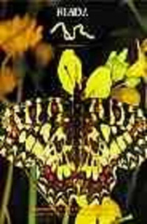 Las Mariposas al sur de la Comunidad de Madrid