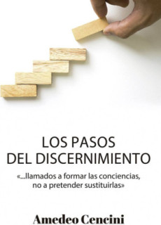 LOS PASOS DEL DISCERNIMIENTO