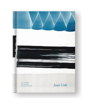 Juan Uslé. Ojo y paisaje.