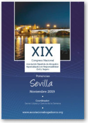 Ponencias XIX Congreso Sevilla (noviembre 2019), sobre especialización en responsabilidad civil y seguro