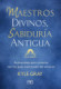 Maestros divinos, sabiduría antigua