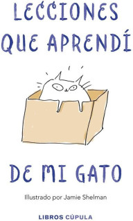 Lecciones de vida que aprendí de mi gato