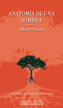 Anatomía de Una Sombra