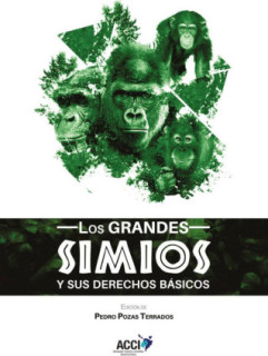 Los grandes simios y sus derechos básicos