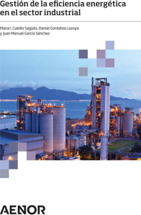 Gestión de la eficiencia energética en el sector industrial