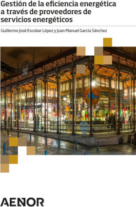 Gestión de la eficiencia energética a través de proveedores de servicios energéticos