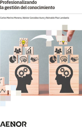 Profesionalizando la gestión del conocimiento