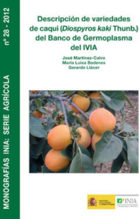 Descripción de variedades de caqui (Diospyros kaki Thunb.) del Banco de Germoplasma del IVIA