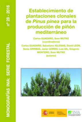 Establecimiento de plantaciones clonales de Pinus pinea para la producción de piñón mediterráneo