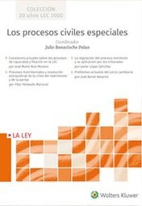 Los procesos civiles especiales