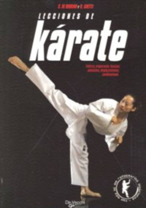 Lecciones de karate