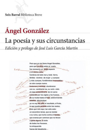 La poesía y sus circunstancias