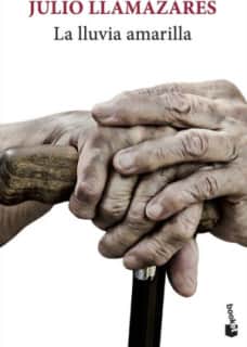 LA LLUVIA AMARILLA