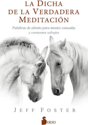 LA DICHA DE LA VERDADERA MEDITACION