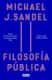 Filosofía pública