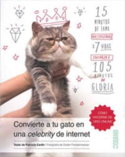 Cómo convertirtu gato en una Celebrity de internet