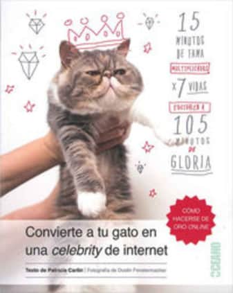 Cómo convertirtu gato en una Celebrity de internet